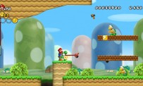 New Super Mario Bros. Wii