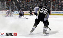 NHL 13