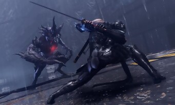 Ninja Gaiden 4