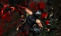 Ninja Gaiden 3