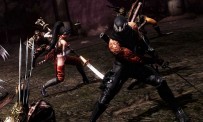 Ninja Gaiden 3