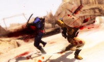 Ninja Gaiden 3