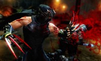 Ninja Gaiden 3