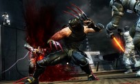 Ninja Gaiden 3