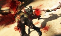 Ninja Gaiden 3