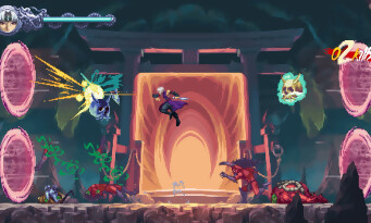 Ninja Gaiden Ragebound