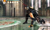 Ninja Gaiden