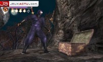 Ninja Gaiden