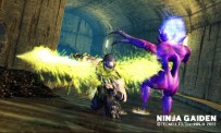 Ninja Gaiden