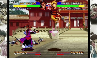 Ninja Master's