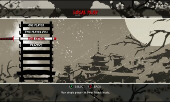 Ninja Master's