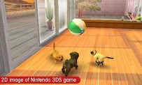 Nintendogs et Cats Caniche Toy et ses Nouveaux Amis