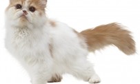 Nintendogs et Cats Caniche Toy et ses Nouveaux Amis