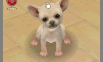 Nintendogs