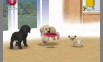 Nintendogs