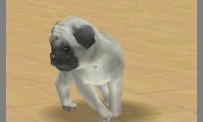 Nintendogs
