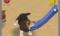 Nintendogs