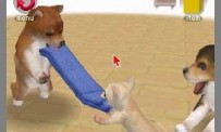 Nintendogs