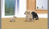 Nintendogs