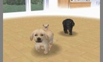 Nintendogs