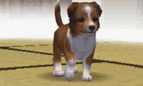 Nintendogs