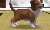 Nintendogs