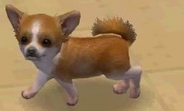 Nintendogs