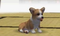 Nintendogs