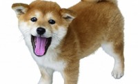 Nintendogs