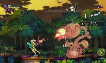 Odin Sphere Leifdrasir