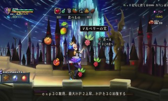 Odin Sphere Leifdrasir