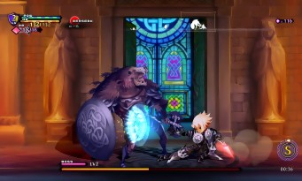 Odin Sphere Leifdrasir