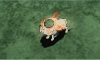 Okami