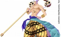 Un nom et un site pour One Piece sur Wii