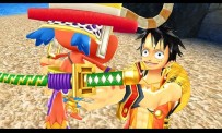 One Piece 3DS