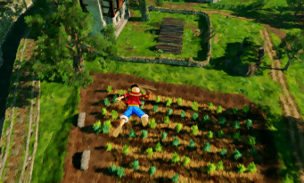 One Piece : World Seeker