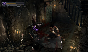 Onimusha 2 Samurai's Destiny