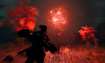Onimusha : Way of the Sword