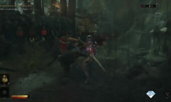 Onimusha : Way of the Sword