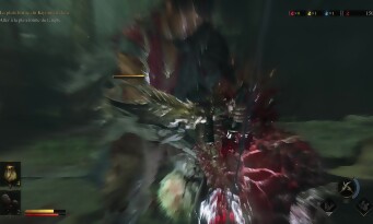 Onimusha : Way of the Sword