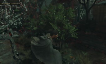 Onimusha : Way of the Sword