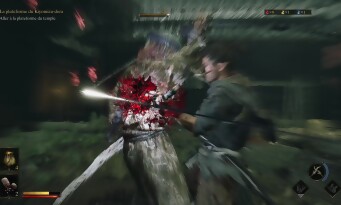 Onimusha : Way of the Sword