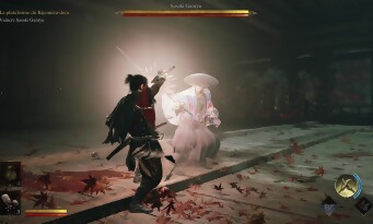 Onimusha : Way of the Sword