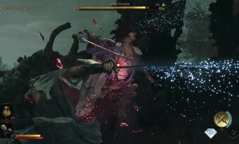 Onimusha : Way of the Sword