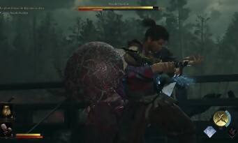 Onimusha : Way of the Sword