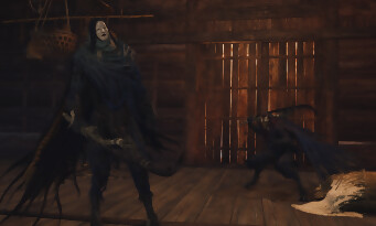 Onimusha : Way of the Sword