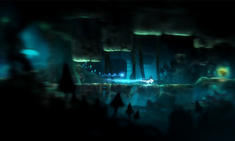 Ori and the Blind Forest Definitive Edition