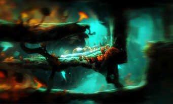 Ori and the Blind Forest Definitive Edition