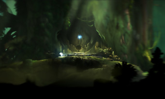 Ori and the Blind Forest