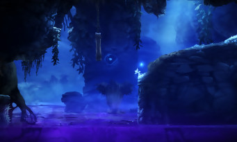 Ori and the Blind Forest